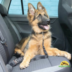 Safety Belt for Pets Comfortable Fit-Petifo