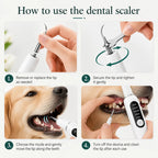 Step-by-step visual guide on how to change tips and safely use the Detixy ultrasonic tooth scraper on a dog's teeth.