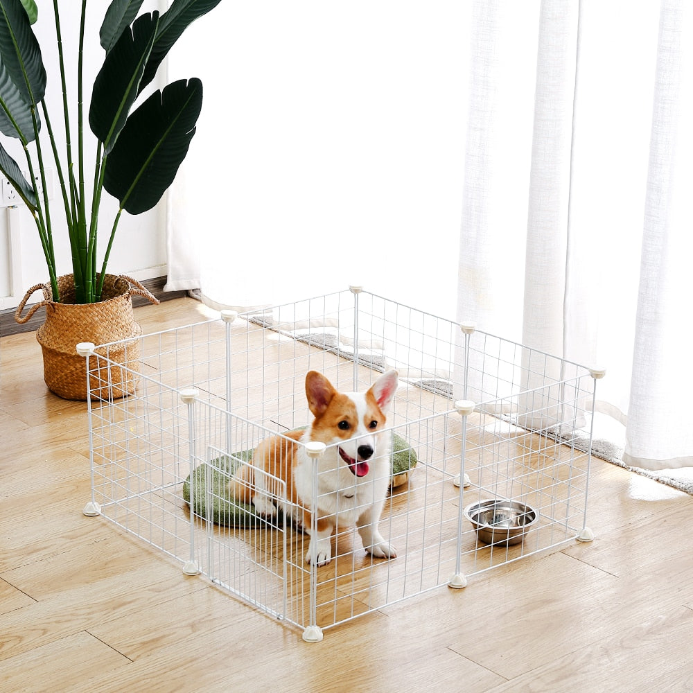 Dog Crate Dogman,
Dog Crate For Puppy, Dog Crate - Petifo