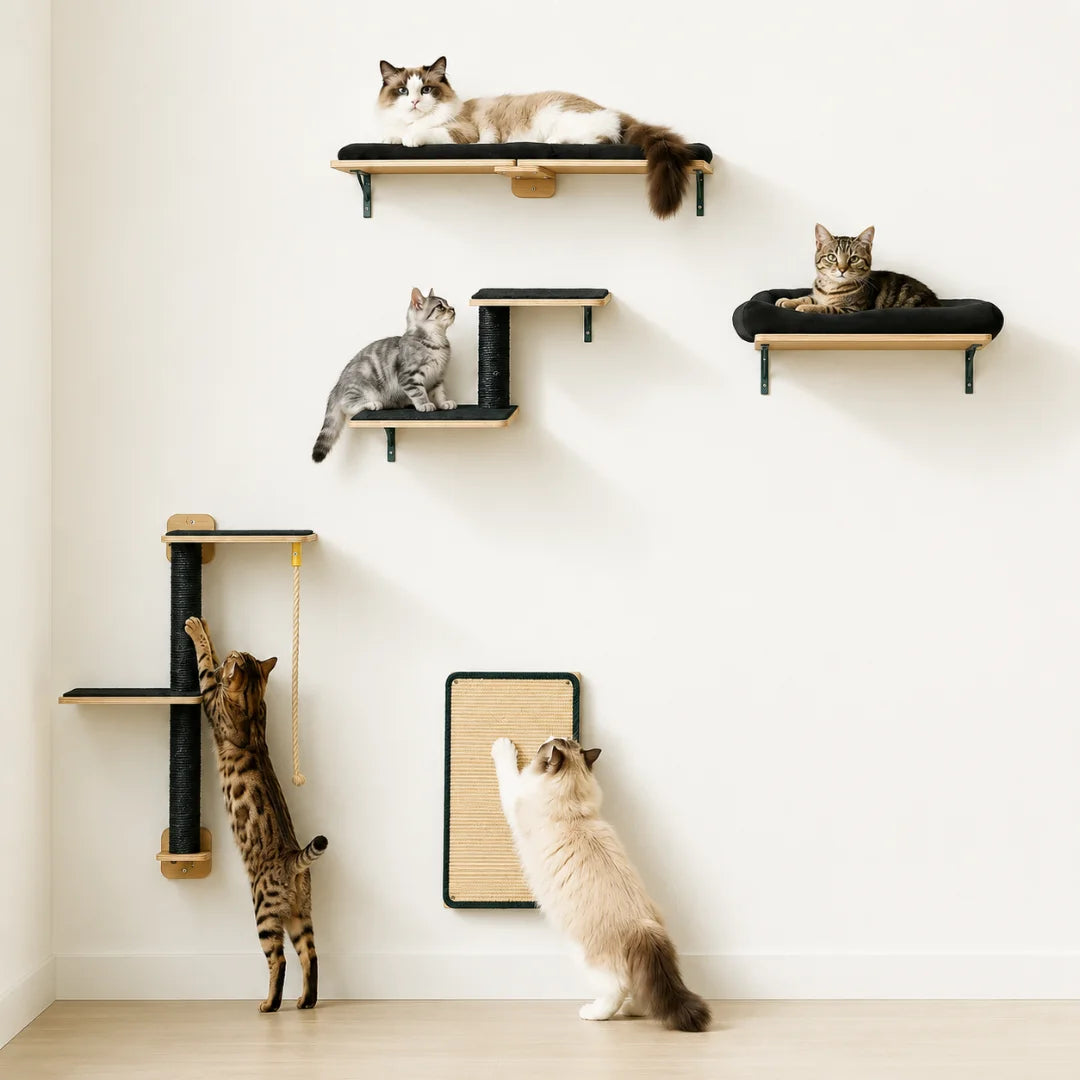 Multiple cats interacting with a Petifo wall-mounted cat climbing set featuring shelves and a scratching mat.