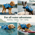 Various dogs enjoying water activities like swimming and paddleboarding while wearing secure blue dog life jackets.