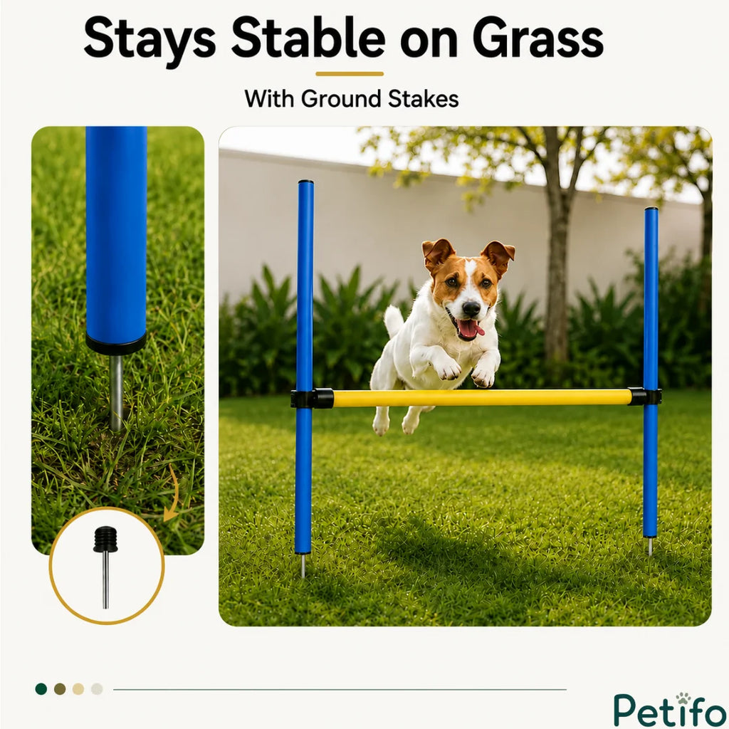 A Jack Russell Terrier jumping over a Petifo dog agility hurdle secured in grass with metal ground stakes.