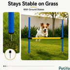 A Jack Russell Terrier jumping over a Petifo dog agility hurdle secured in grass with metal ground stakes.