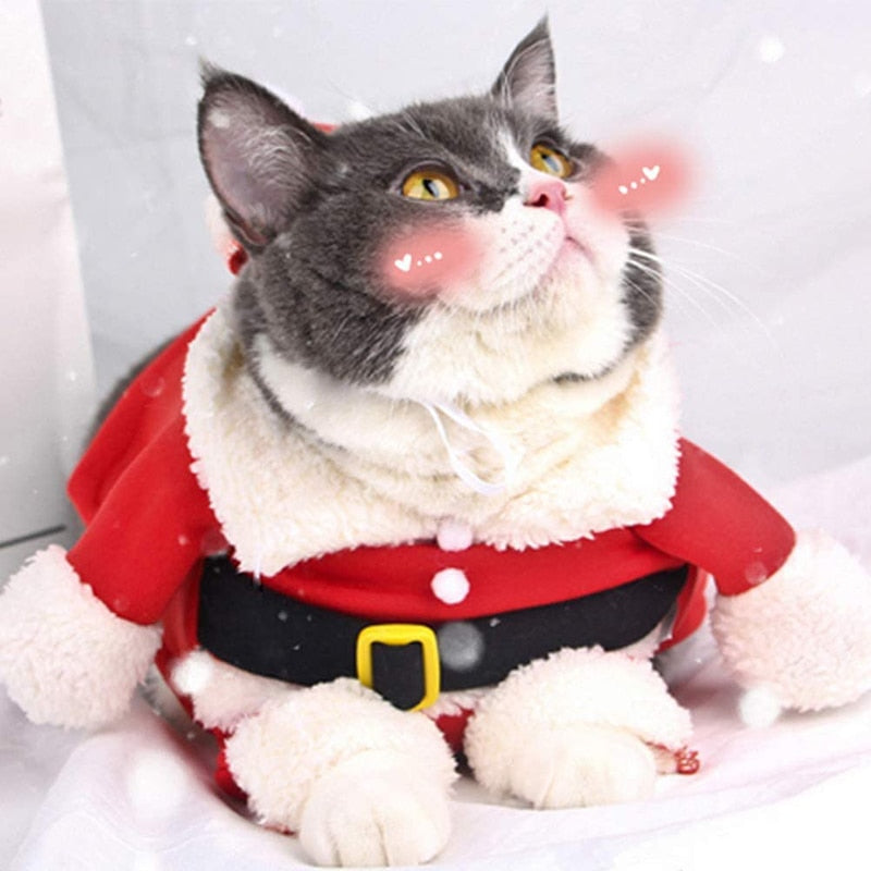 Christmas Outfit for Dogs and Cats - djurslottet