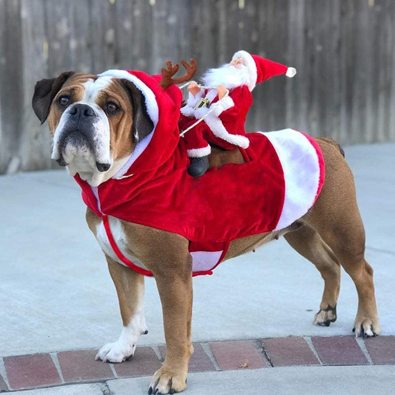 Father Christmas Costume for Dogs and Cats - Petifo