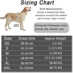 Detixy Dog Harness - Petifo