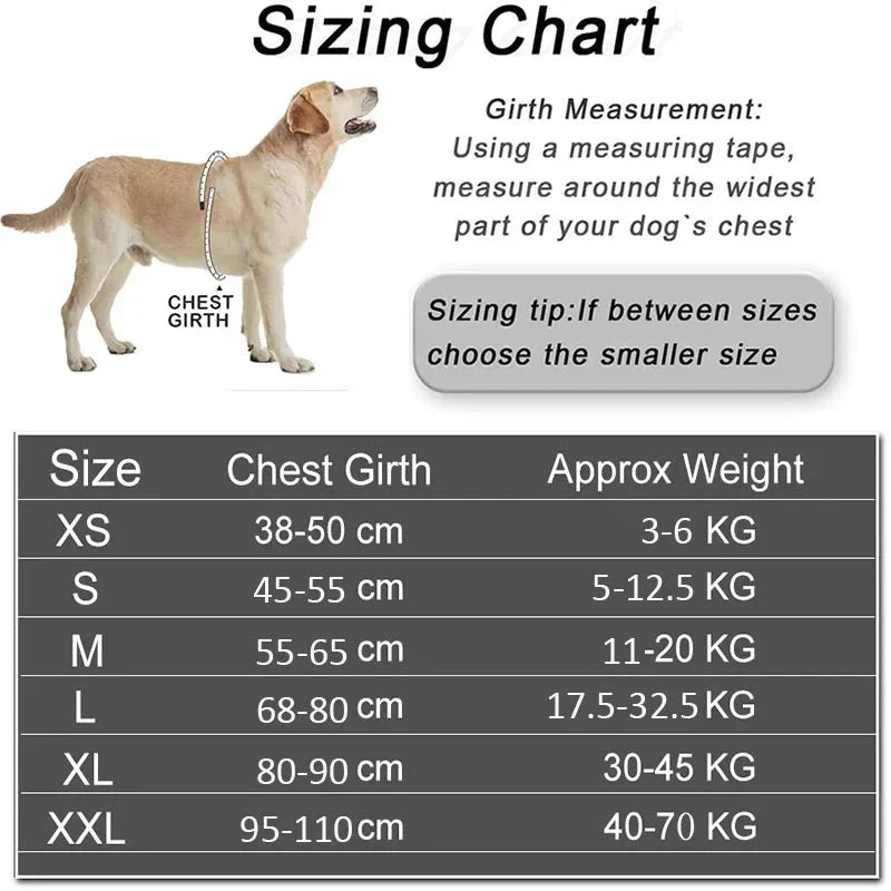 Detixy Dog Harness - Petifo