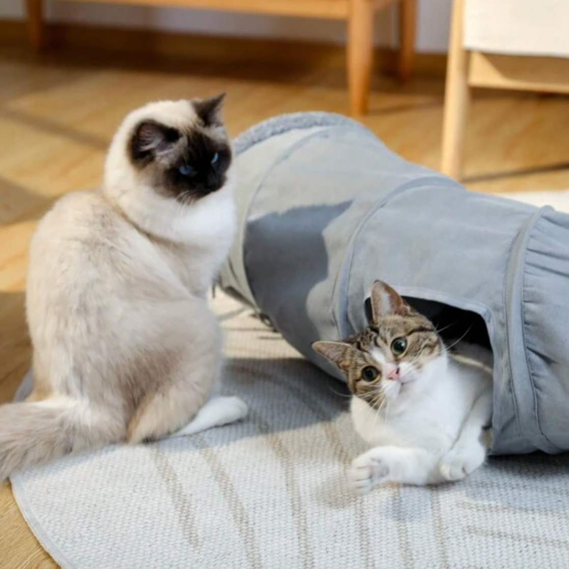 Foldable Cat Tunnel Mocca - Petifo