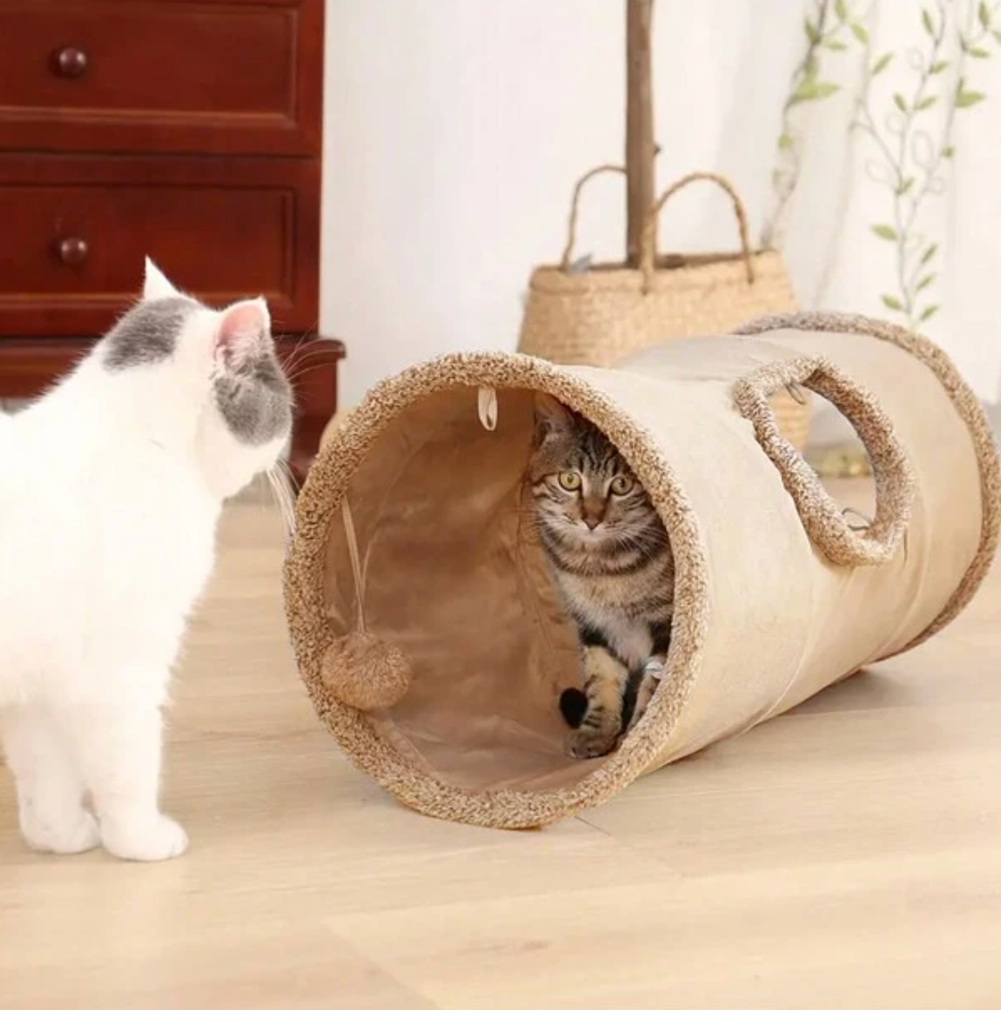 Foldable Cat Tunnel Mocca - Petifo
