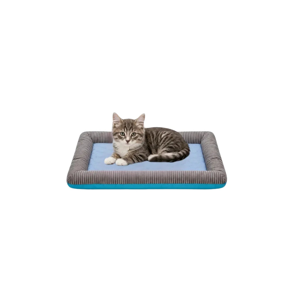 A cute grey tabby cat lying relaxed on a small blue and grey striped cooling pet bed against a white background.