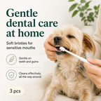Small dog getting its teeth brushed at home with a soft-bristle gentle pet toothbrush.