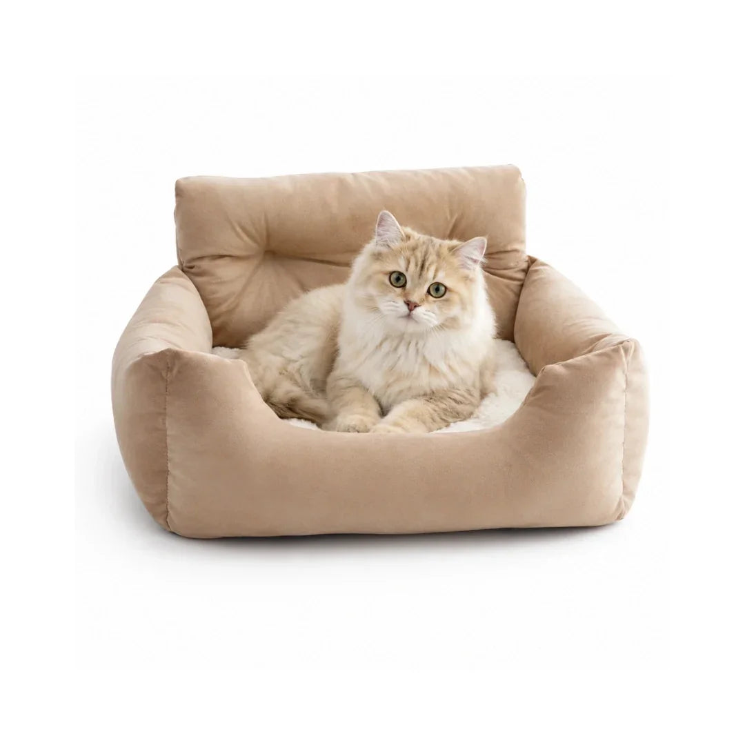 Fluffy golden-brown kitten lying down comfortably inside a soft beige plush pet booster seat against a white background.