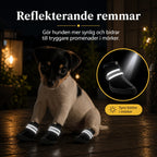 SolStep Dog Shoes reflective straps visibility - Petifo