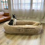 Border collie and golden retriever relaxing together in a spacious brown fuzzy human dog bed.
