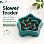 Top view of teal labyrinth maze slow feeder bowl filled with dog kibble