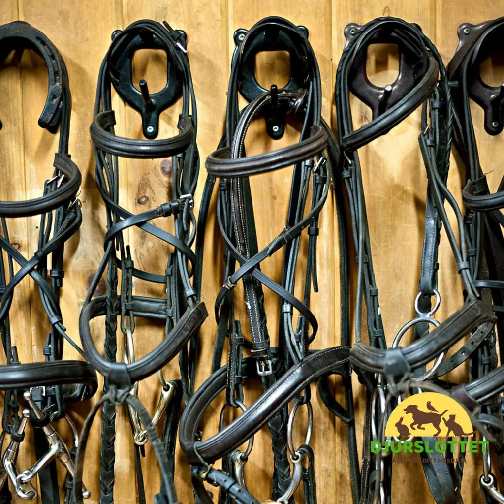 Bridle Hanger in Metal Organised storage - Petifo