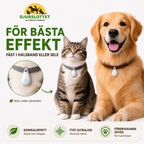Ultrasonic Tick Protection for dogs and cats for best effect - Petifo