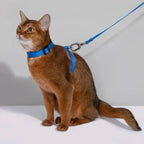 HiDream Leather Series cat harness - Petifo