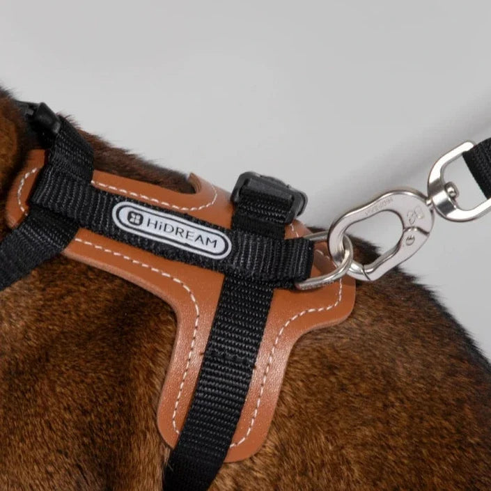 HiDream Leather Series cat harness - Petifo