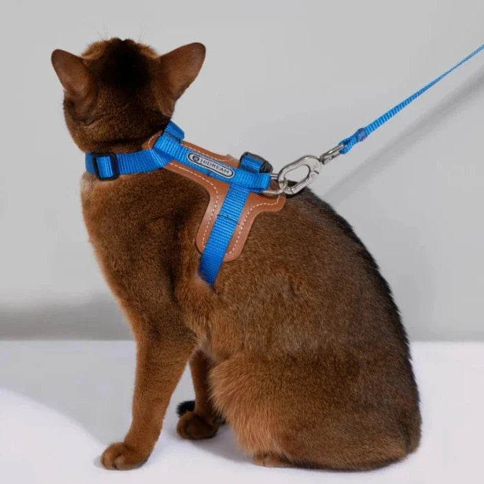 HiDream Leather Series cat harness - Petifo