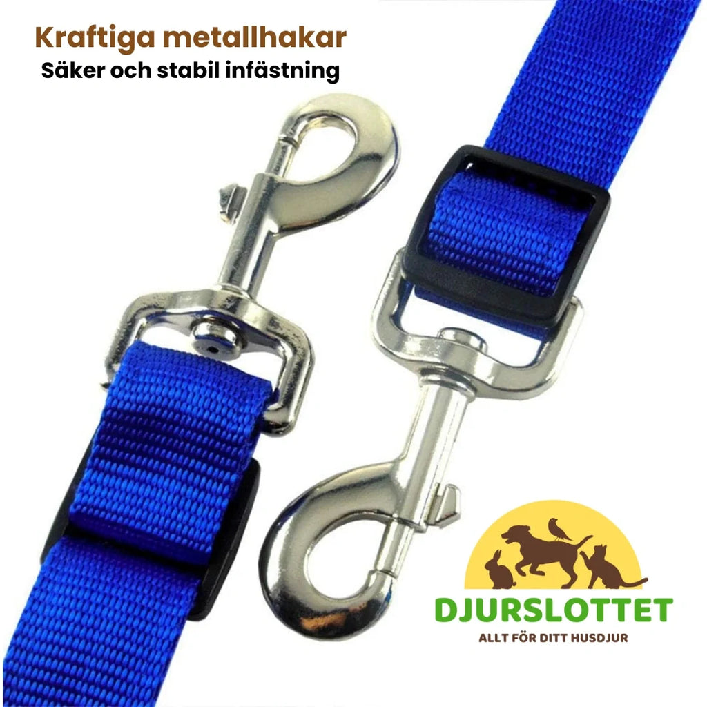 Rechargeable LED breastplate for horses Strong metal hooks - Petifo