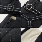 Winter coat for dogs Maximum warmth - Petifo