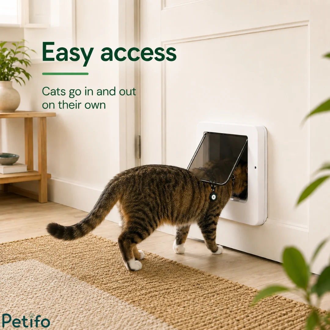 Tabby cat walking through a white smart pet flap door installed in an interior wooden door.