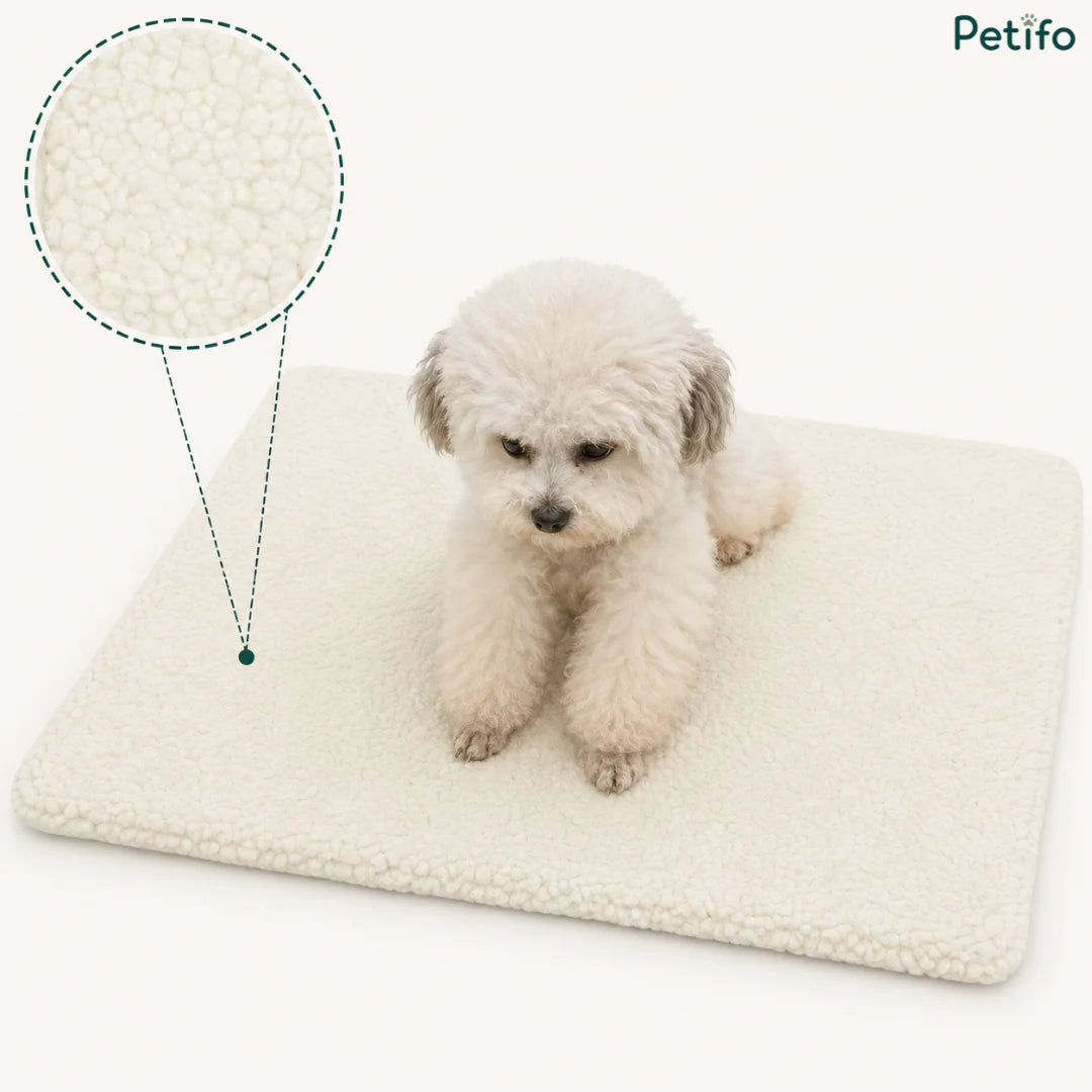 A small white fluffy dog sitting on a cream-colored self-warming pet mat, with a circular cutout highlighting the soft fleece texture.