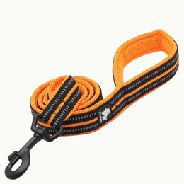 Oranje