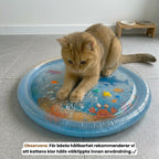 AquaPaw Water Sensory Play Mat - Petifo