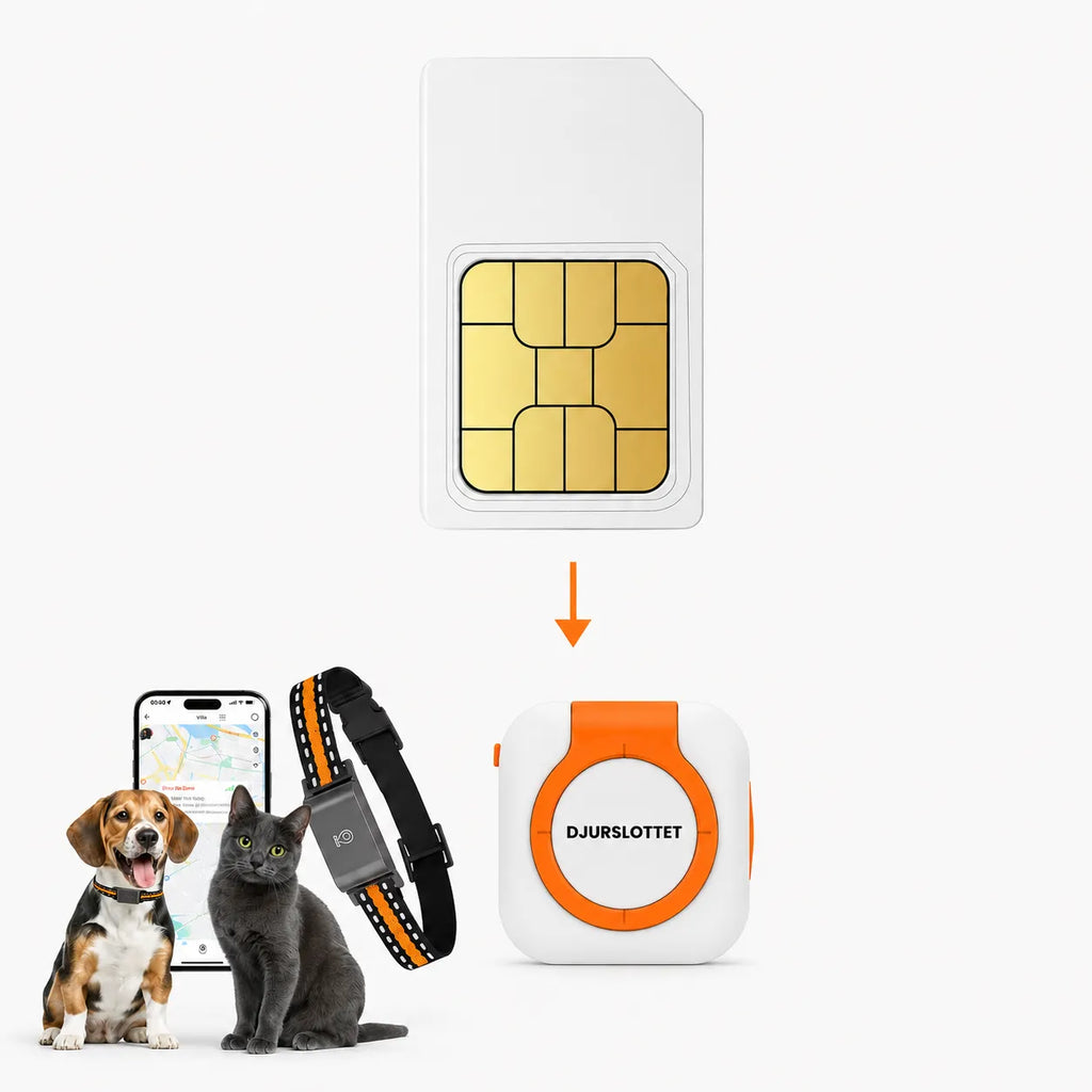 annual sim card for gps tracker - Petifo