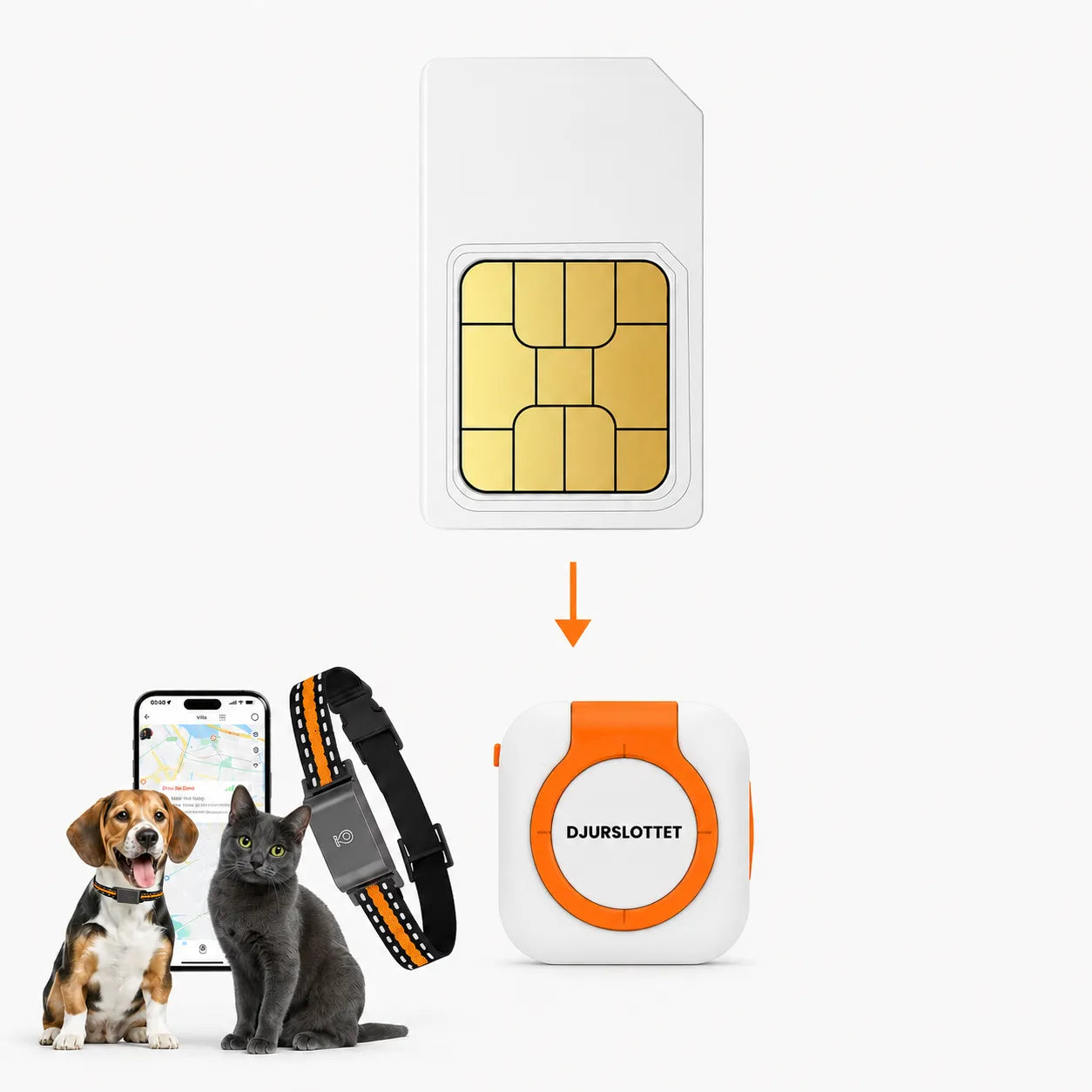 annual sim card for gps tracker - Petifo