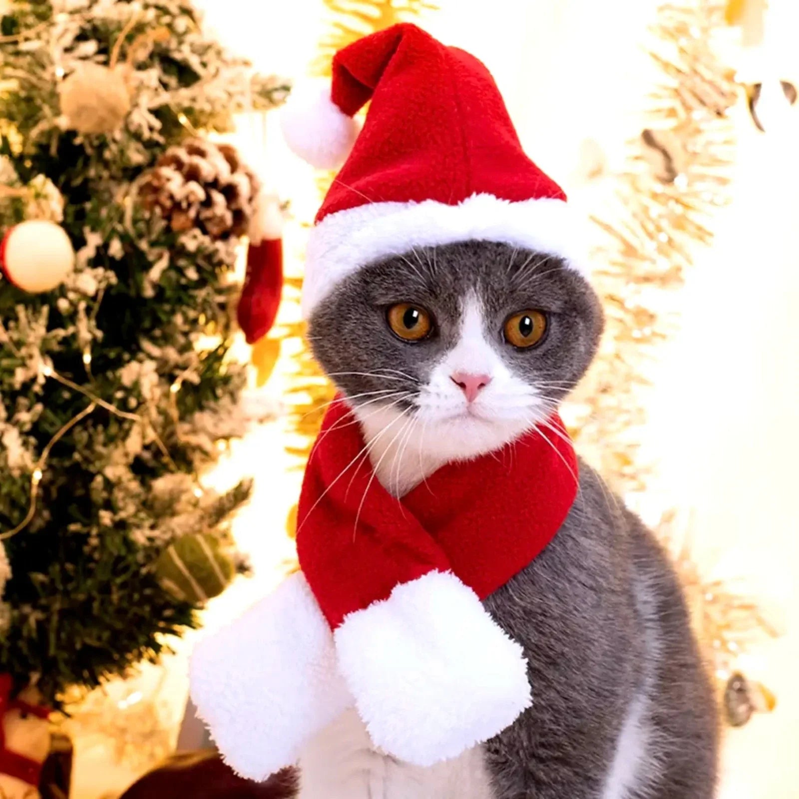 Dog and Cat Christmas Hat / Scarf - Petifo