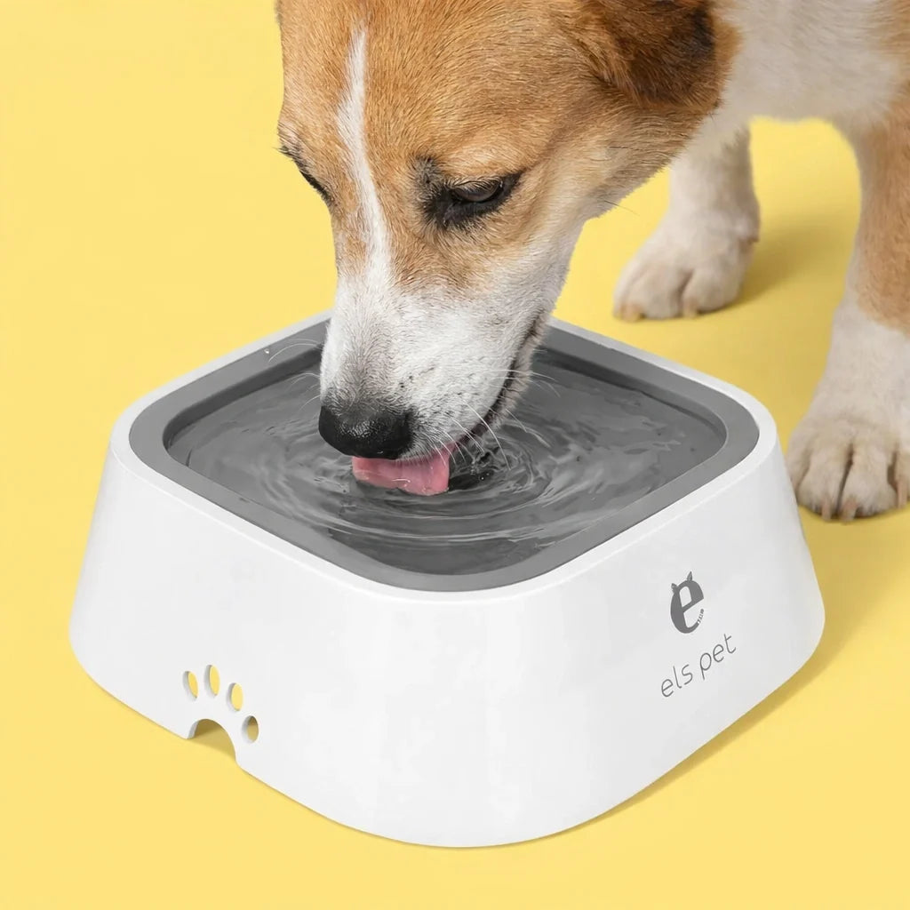 Anti-Spill water bowl for dogs from Petifo where a dog drinks water