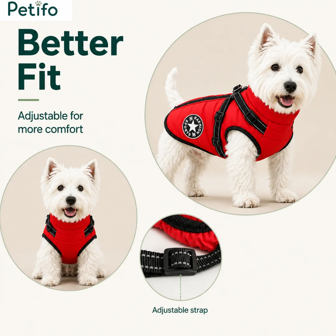 West Highland White Terrier showcasing the adjustable straps and better fit of the red winter dog jacket.