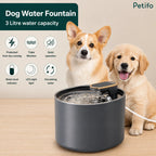 Corgi and Golden Retriever puppy sitting next to Petifo 3L electric dog water fountain