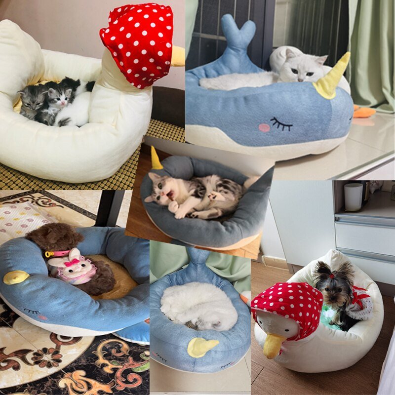 FloatyComfort Pet Bed - Petifo
