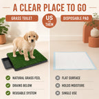 Herbruikbaar gras-hondentoilet vergeleken met een wegwerp-puppypad