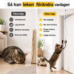 interactive cat toy before after image - Petifo