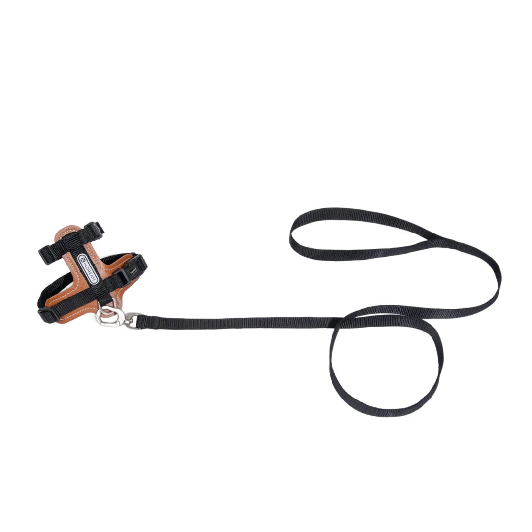 HiDream Leather Series cat harness - Petifo