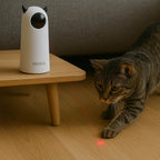 laser pointer cat toy - Petifo
