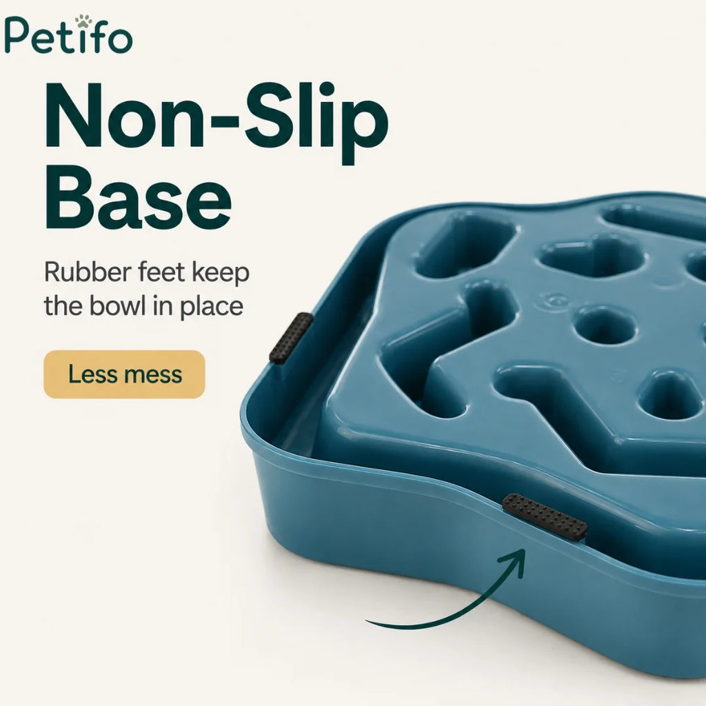 Underside view of teal pet bowl highlighting non-slip rubber feet