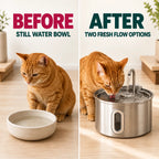 BEFORE and AFTER: still water bowl compared with two fresh flow options from the PawHut 2.5 L Cat Water Fountain - Petifo