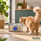 PawHut 3.2 L Pet Water Fountain – lifestyle - Petifo