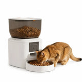 Distributeur automatique de nourriture pour animaux PawHut de 4 L avec caméra et application