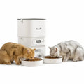 PawHut 4L dual-bowl feeder: Cats and dog eating from a dual-bowl automatic pet feeder - Petifo