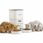 PawHut 4L dual-bowl feeder: Cats and dog eating from a dual-bowl automatic pet feeder - Petifo