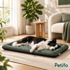 PawHut Foldable Dog Bed – home rest - Petifo