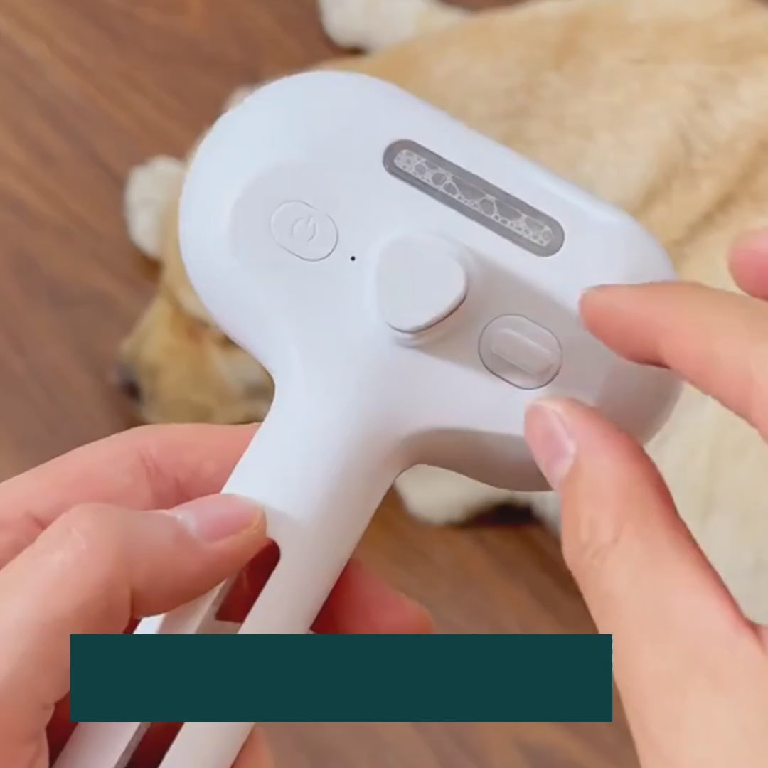 Detixy steam brush grooming a pet's coat - Petifo