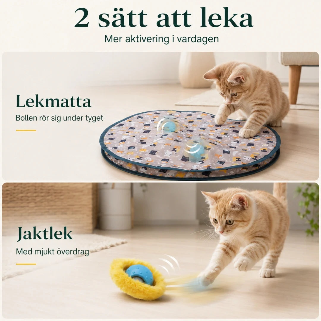 Purrnivo Self-Rolling Play Ball for Cats 2 ways to play - Petifo